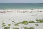 IMG_7539.jpg