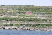 IMG_7630.jpg